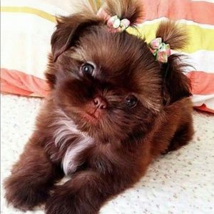 Meet your Posher, Marta